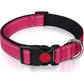 Set met reflecterende hondenhalsband en -riem om mee te zwemmen