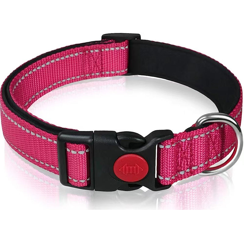 Set met reflecterende hondenhalsband en -riem om mee te zwemmen
