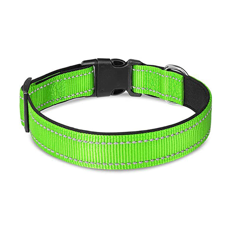 Set met reflecterende hondenhalsband en -riem om mee te zwemmen