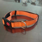Set met reflecterende hondenhalsband en -riem om mee te zwemmen