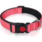 Set met reflecterende hondenhalsband en -riem om mee te zwemmen