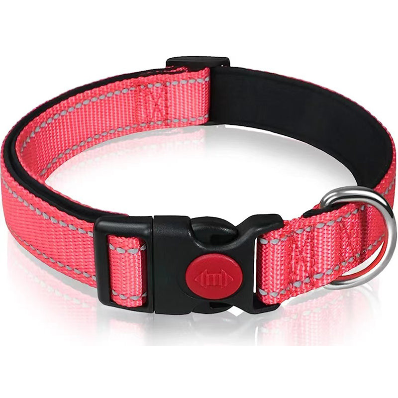Set met reflecterende hondenhalsband en -riem om mee te zwemmen