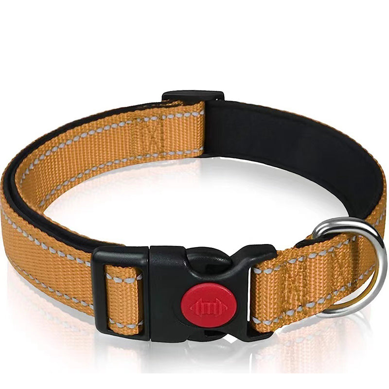 Set met reflecterende hondenhalsband en -riem om mee te zwemmen