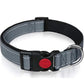 Set met reflecterende hondenhalsband en -riem om mee te zwemmen