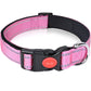 Set met reflecterende hondenhalsband en -riem om mee te zwemmen