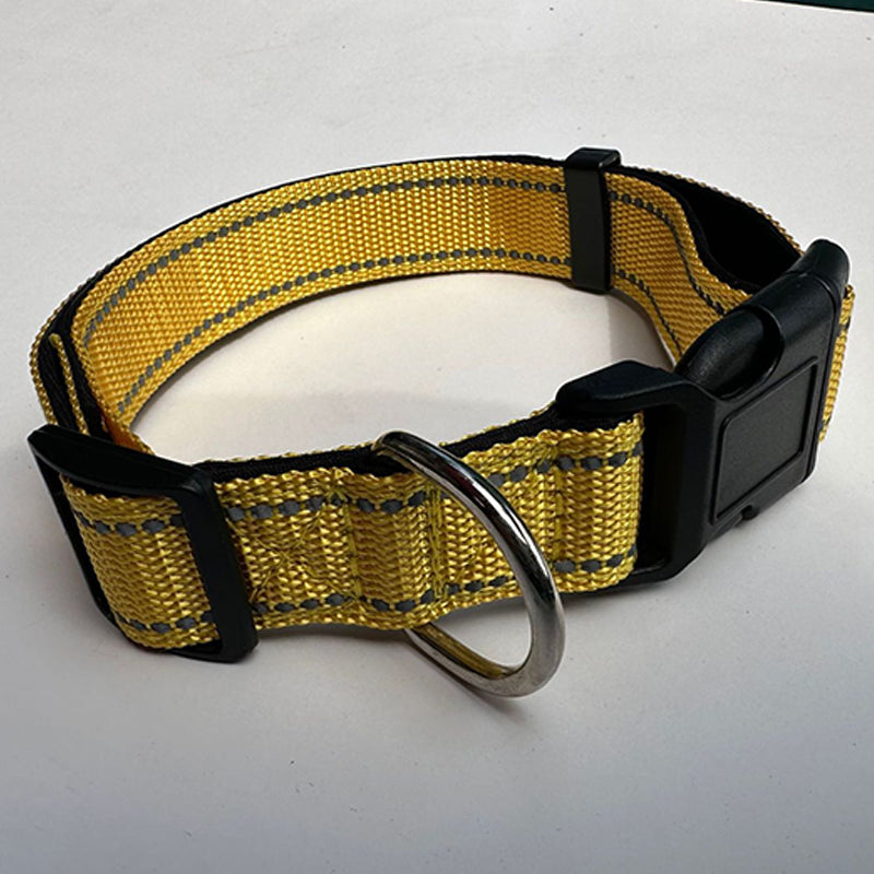 Set met reflecterende hondenhalsband en -riem om mee te zwemmen