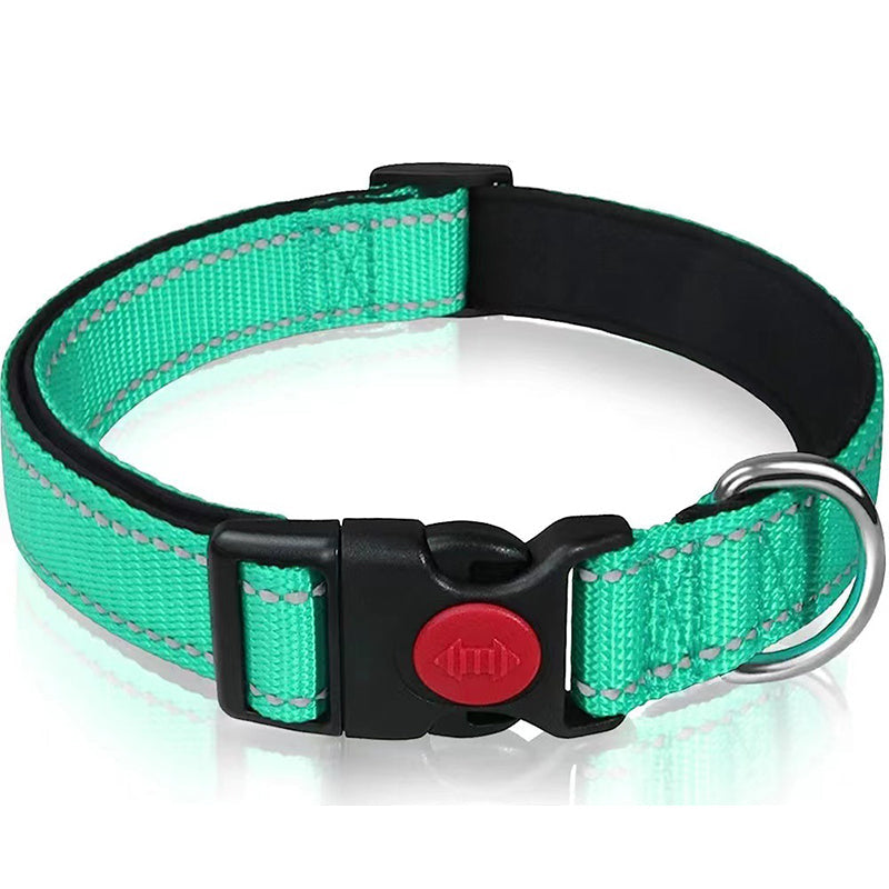 Set met reflecterende hondenhalsband en -riem om mee te zwemmen
