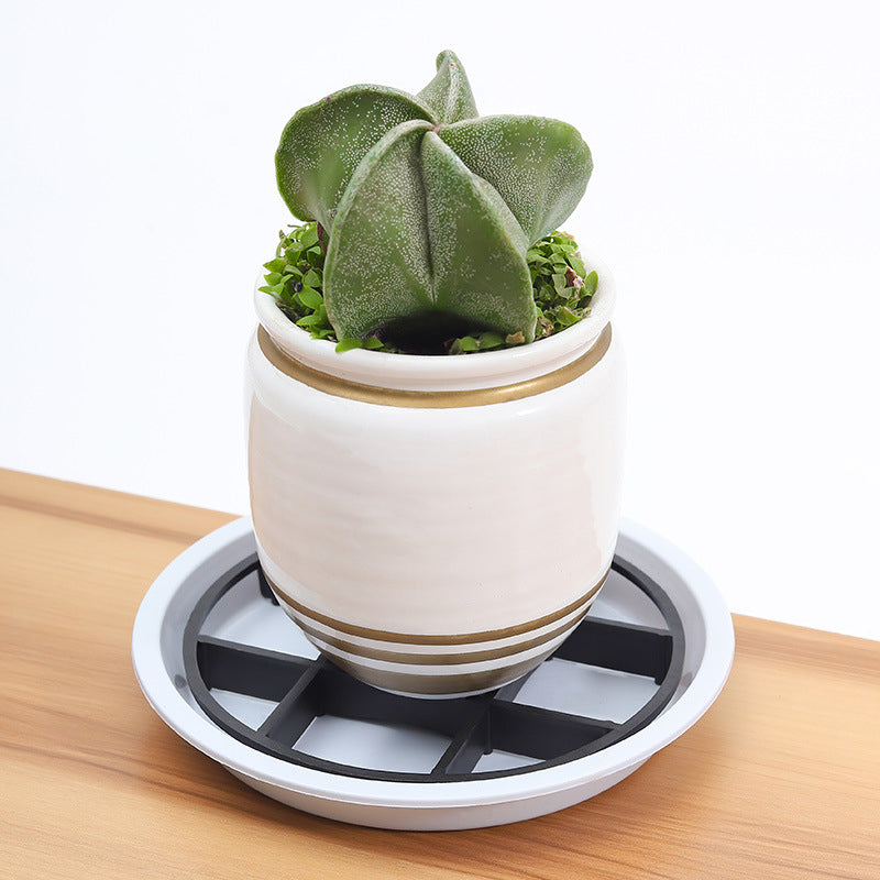 🌱 50% korting! Bloempot verhogers – voorkomt wortelrot, verbetert drainage en is geschikt voor alle potten.