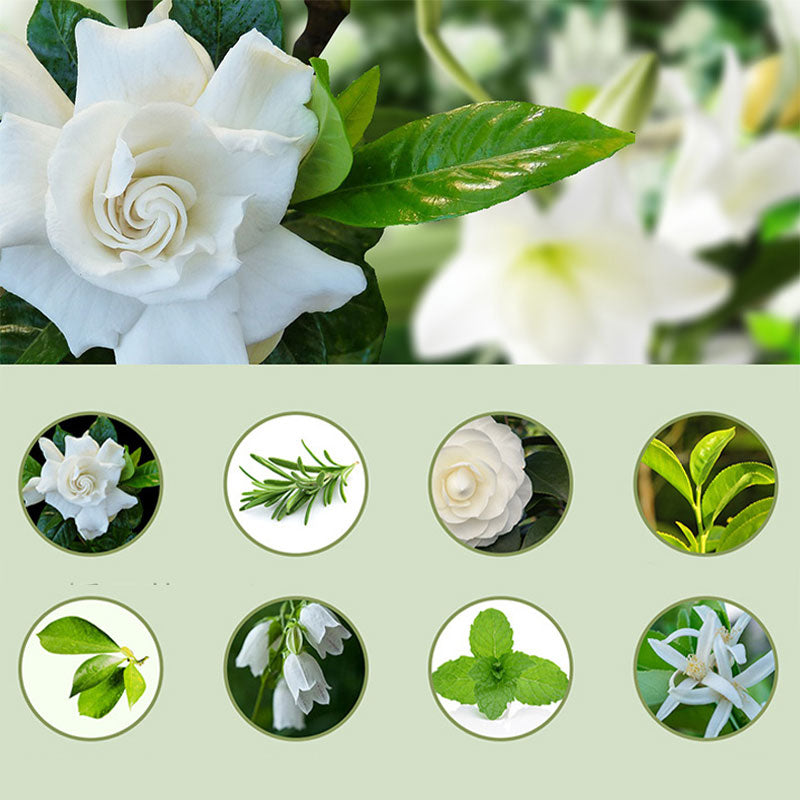 🌿 50% korting! Automatische aromadiffuser – verspreidt geur automatisch, voor een frisse & aangename ruimte. Eenvoudig & stijlvol! ✨🏠