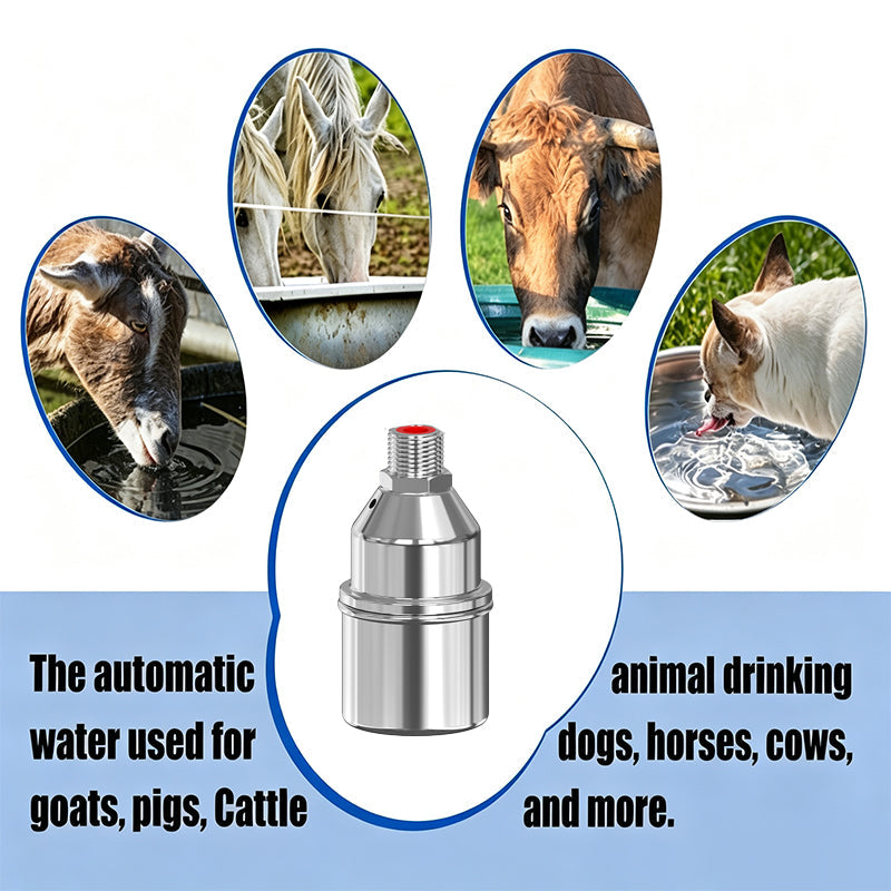 💧 50% korting! Automatische vlotterkraan – 304 RVS, 0,2-10 kg drukbestendig & zelfafsluitend. Voorkomt overstroming & droogkoken – voor tank, vijver & vee! ✨🔧
