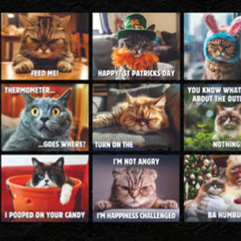 😾 50% korting! Grumpy Cats kalender – 12 maanden humor, premium kunstpapier & ruime maandplanning. Perfect cadeau voor kattenliefhebbers! ✨📅