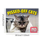 😾 50% korting! Grumpy Cats kalender – 12 maanden humor, premium kunstpapier & ruime maandplanning. Perfect cadeau voor kattenliefhebbers! ✨📅