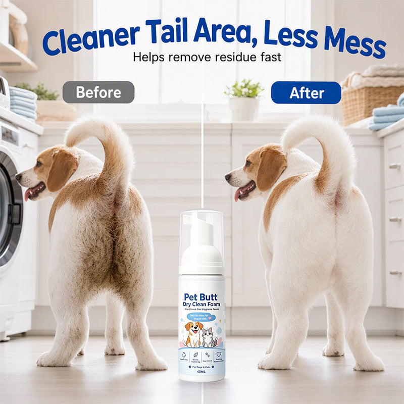 🐾 50% korting! Spoelvrij hygiëneschuim – voor honden & katten. Verwijderd vuil & geurtjes, zacht voor de huid – fris zonder bad! ✨🛁