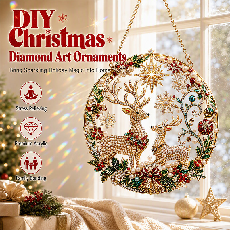 🎄 50% korting! DIY kerst diamantkunst – fonkelende parels & acryl, rustgevend knutselen & prachtige lichtbreking. Perfect voor raam, boom & schouw! ✨💎