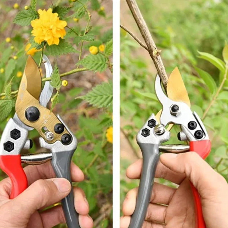 🐴 50% korting! Multifunctionele hoefschaar – voor schapen, koeien, paarden & tuinieren. Sterk, scherp & duurzaam – één tool voor alles! ✨✂️