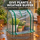 🌱 50% korting! Transparante mini kas hoes – beschermt planten tegen wind & regen, met rits voor eenvoudige toegang. Voor balkon & patio! ✨🪴