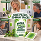 🌿 50% korting! Botanische schimmelwerende plakstrip – eenvoudig aanbrengen, langdurige bescherming & geschikt voor badkamer, keuken & slaapkamer! ✨🛡️