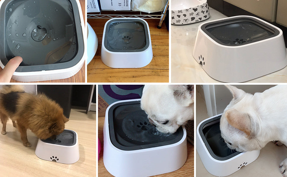 Lekvrije, antislip drinkbak voor huisdieren, katten, honden