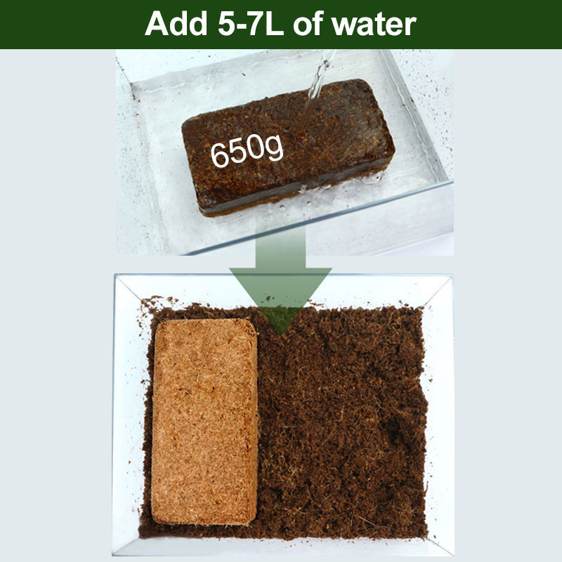 Biologische Kokosnoot Coir voor Planten
