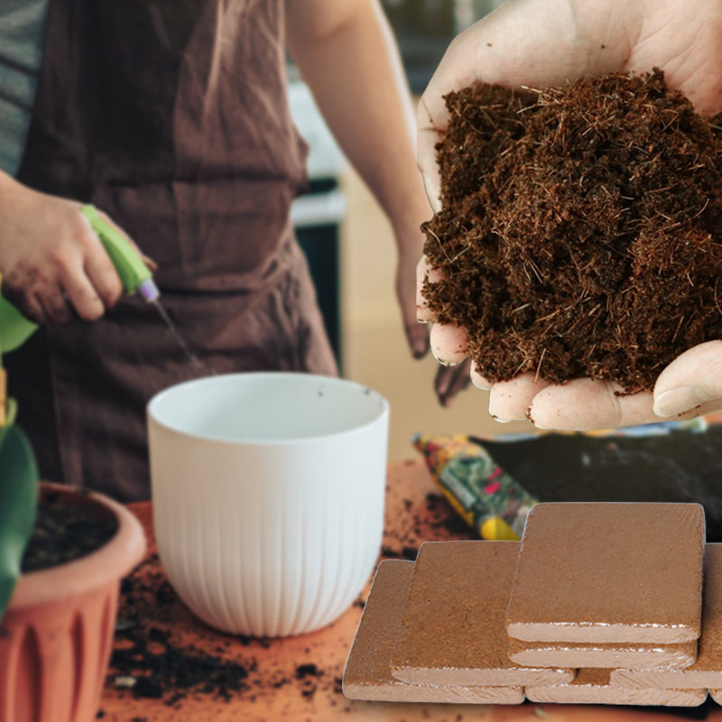 Biologische Kokosnoot Coir voor Planten