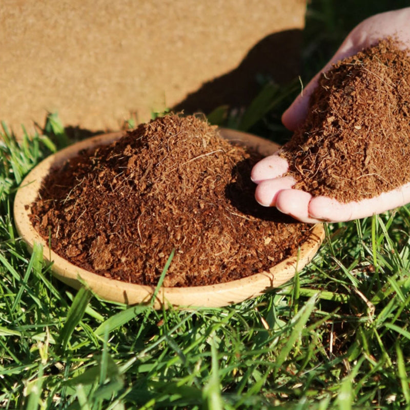 Biologische Kokosnoot Coir voor Planten