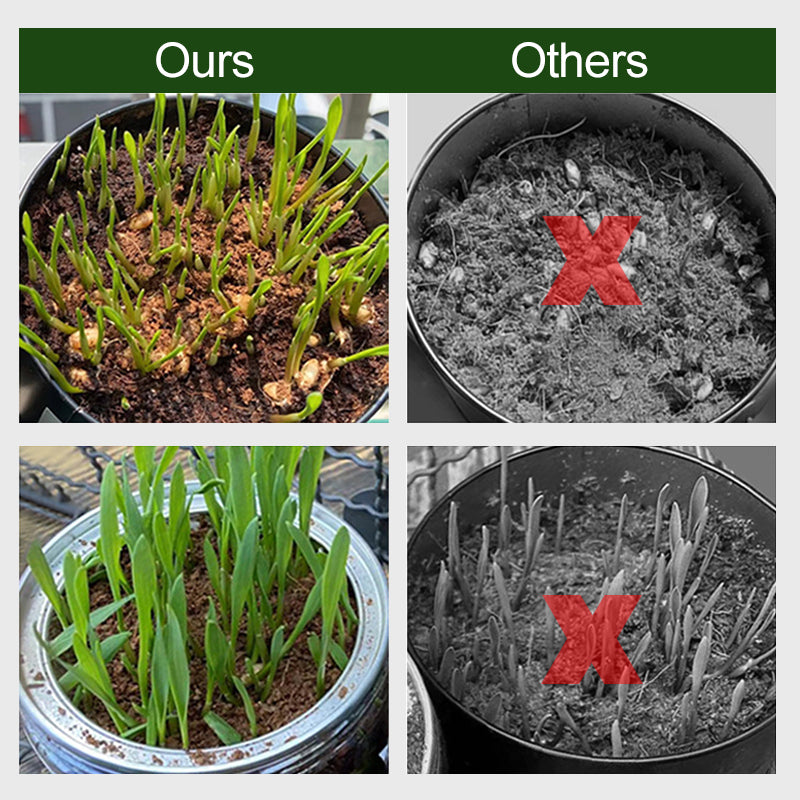 Biologische Kokosnoot Coir voor Planten