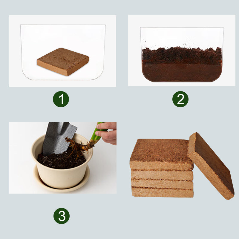 Biologische Kokosnoot Coir voor Planten
