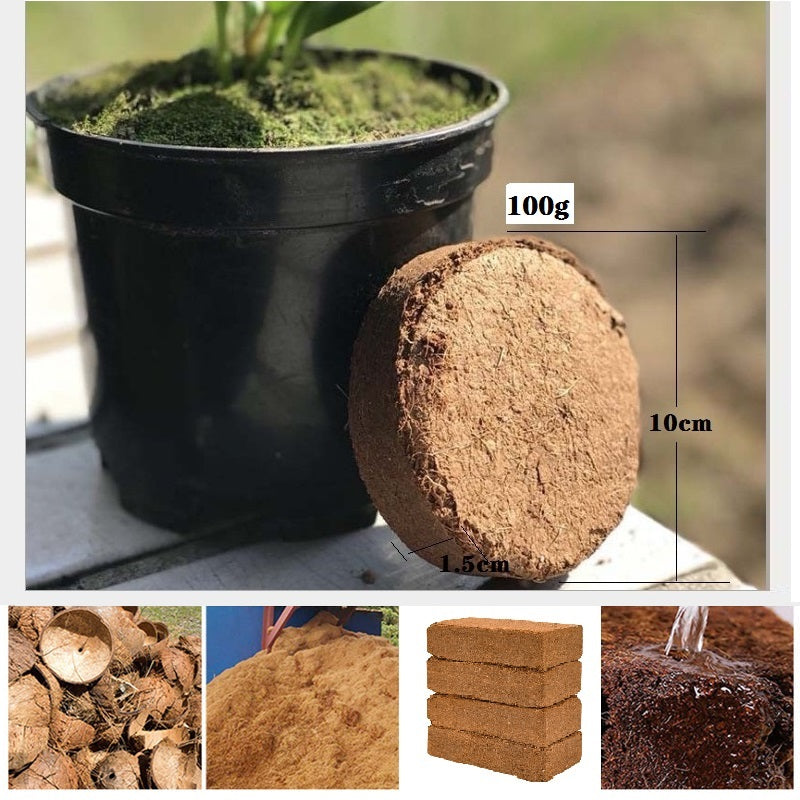 Biologische Kokosnoot Coir voor Planten