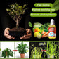 Plantengroeibevorderaars Supplementen Energizers