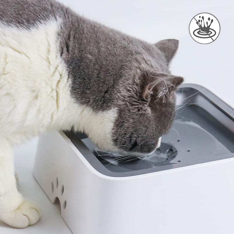 Lekvrije, antislip drinkbak voor huisdieren, katten, honden